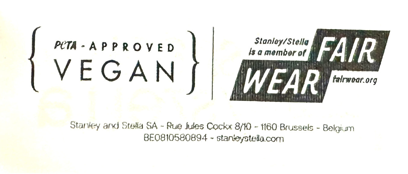 OI BEIBI MÄ RAPTORI t-paita